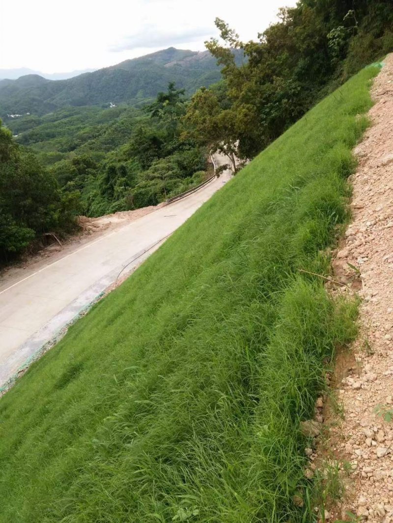 邊坡綠化防止水土流失